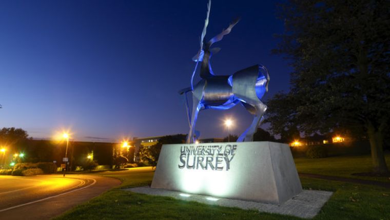 Magister en University of Surrey